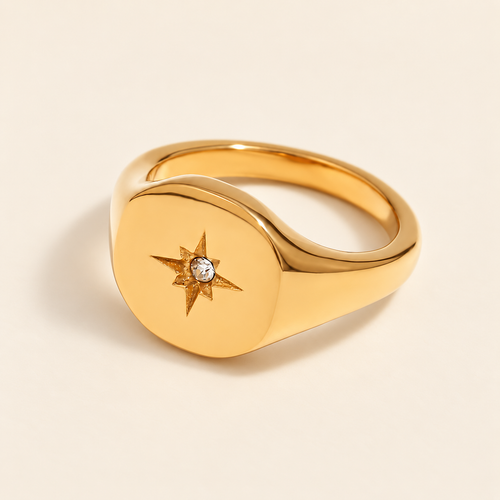 Celestial Disc Signet Ring — ivory gold main image
